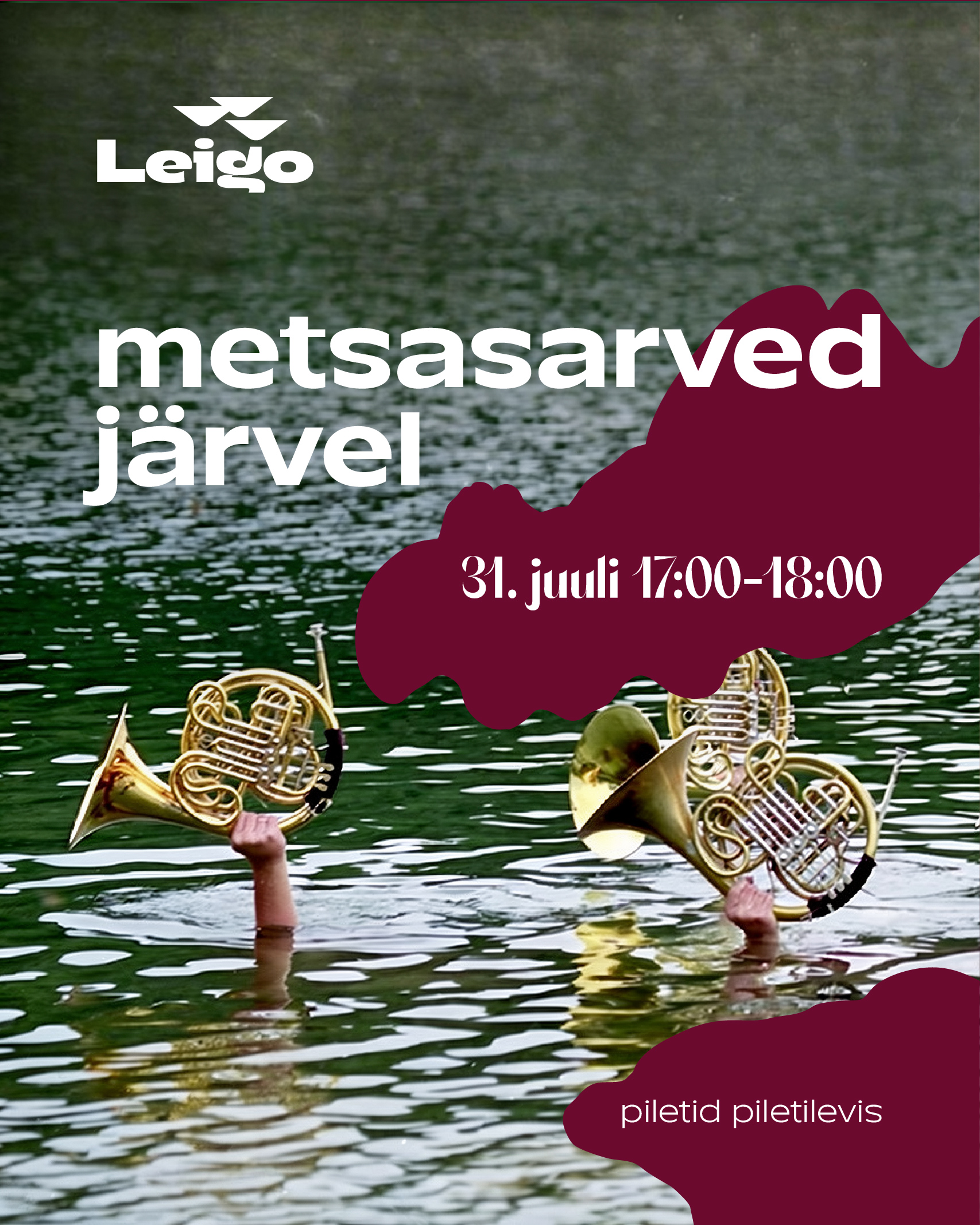 Metsasarved järvel — Leigo 2026